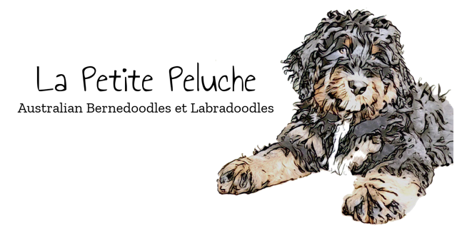 La Petite Peluche